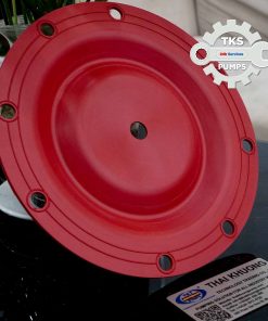 Mang-bom-Marathon-286-107-354-1