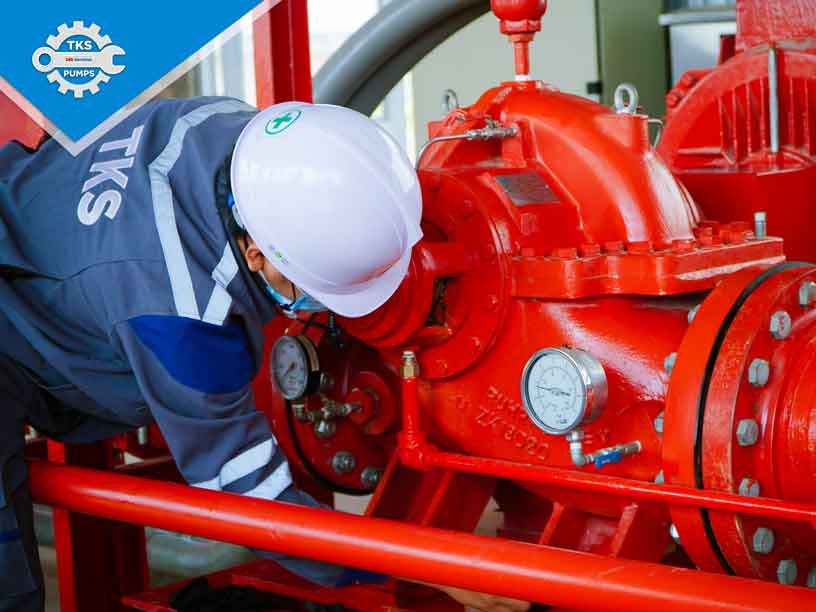 CP-Bình-Phước