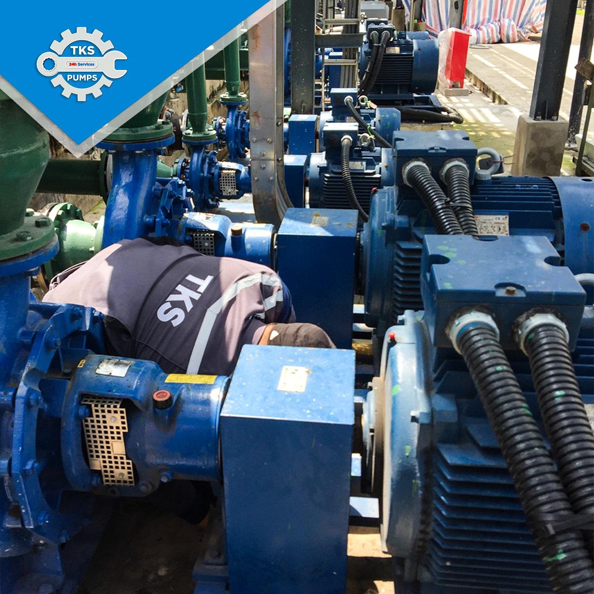 TKS bảo dưỡng máy bơm cho khách hàng
