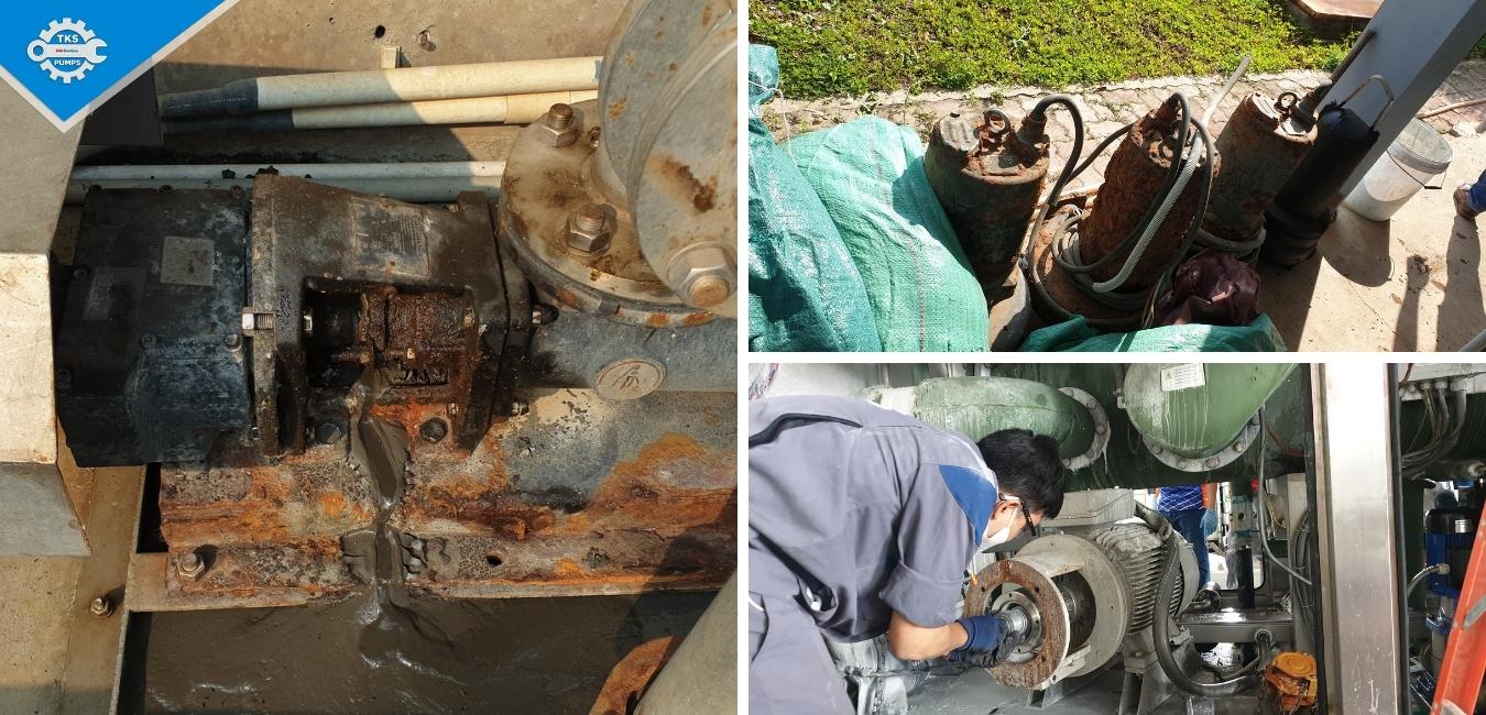 Máy bơm dùng trong công nghiệp