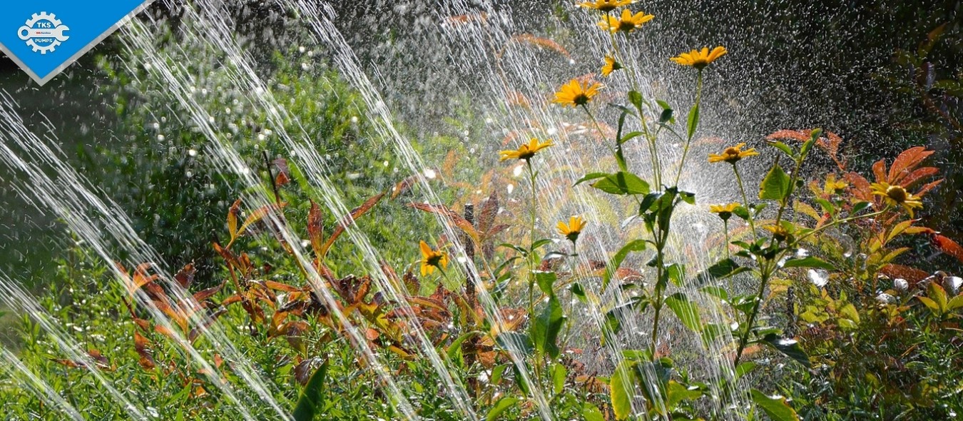 Nước tưới tiêu