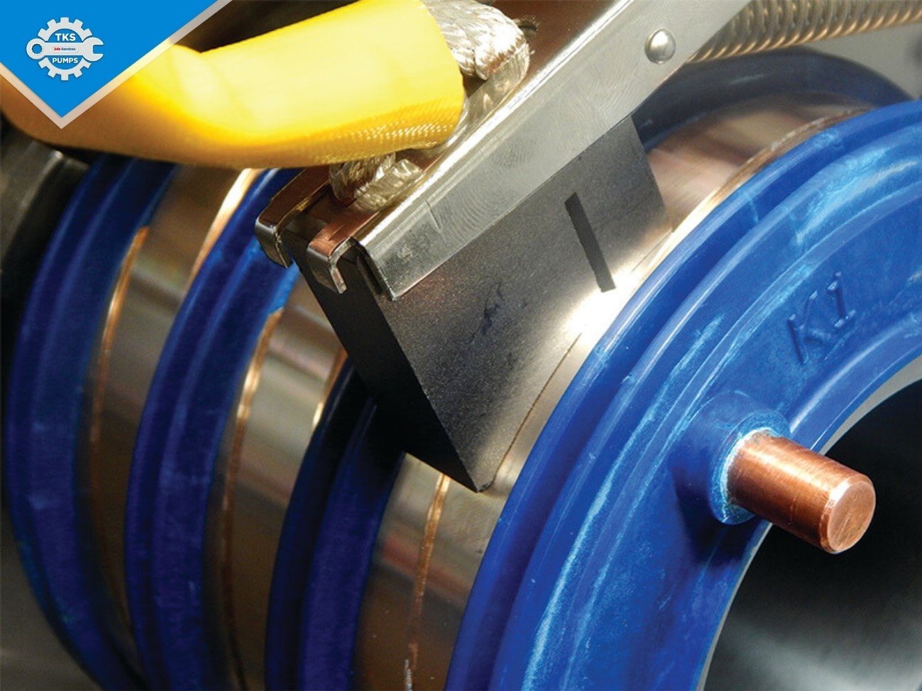 Chức năng chổi than